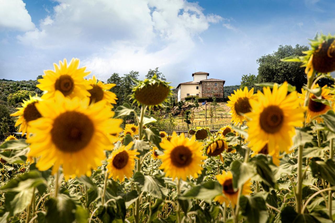 Vila Palagina La Cascina Figline Valdarno Exteriér fotografie
