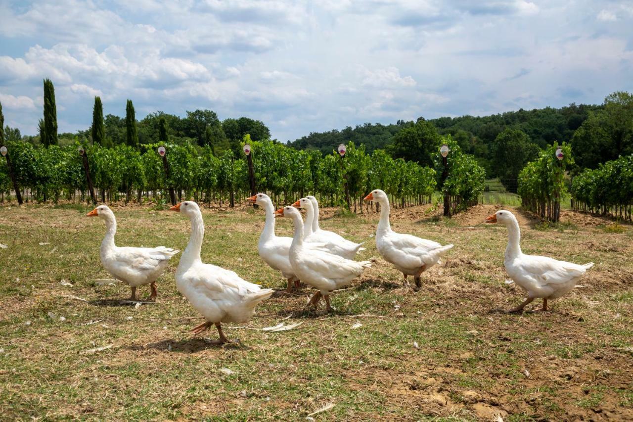 Vila Palagina La Cascina Figline Valdarno Exteriér fotografie