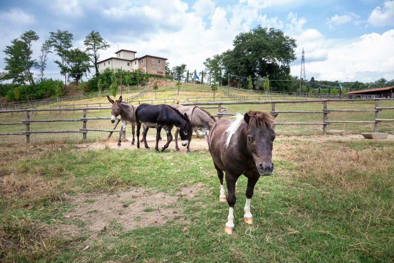 Vila Palagina La Cascina Figline Valdarno Exteriér fotografie